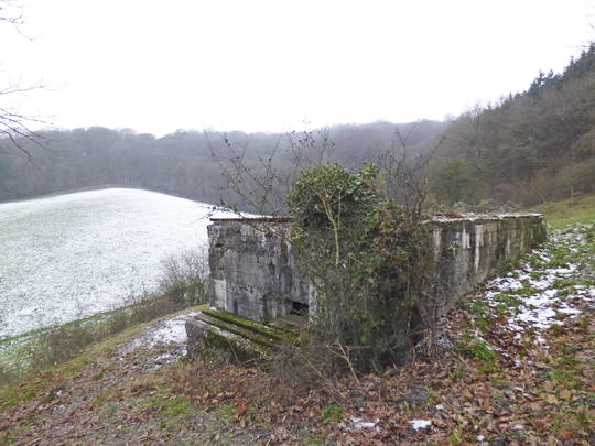 Ligne Maginot - Cb1-B - HASDORFEROD Sud - (Blockhaus pour canon) -  - AALMA - lignemaginot.com