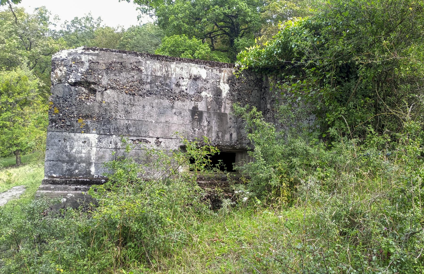 Ligne Maginot - CB1-B - HASDORFEROD SUD - (Blockhaus pour canon) -  - Marc Fossoul