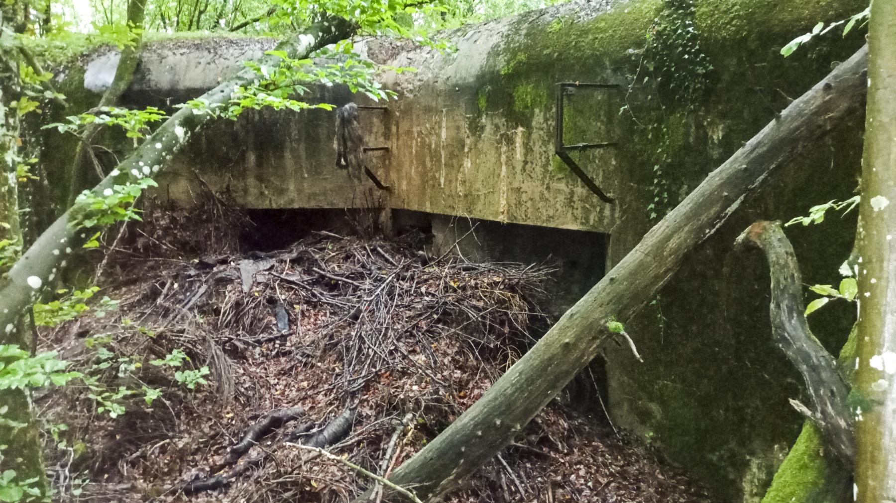 Ligne Maginot - HUMMERSBERG - X20 - (Abri) - Coffre Nord - Marc Fossoul