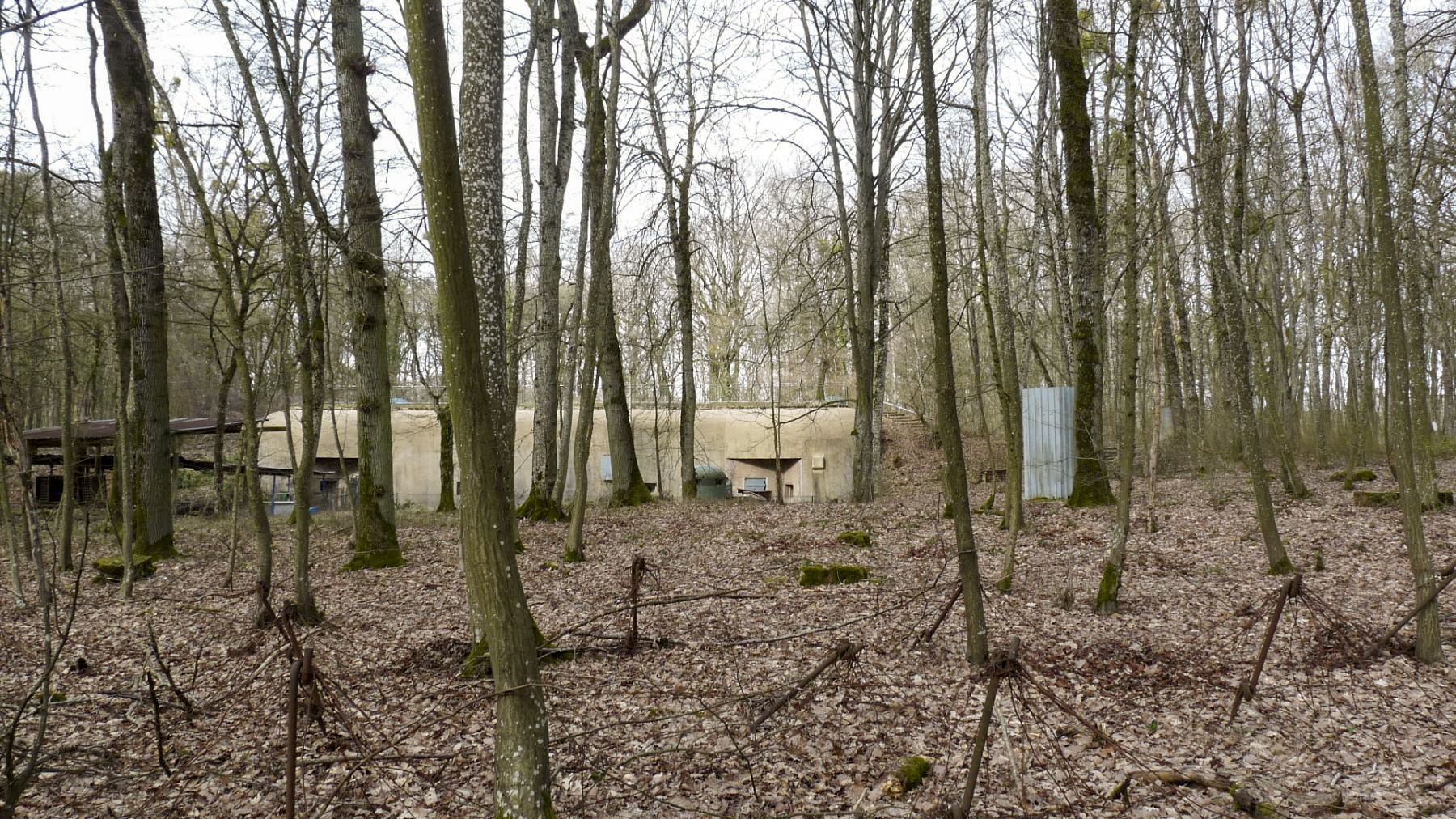 Ligne Maginot - ZEITERHOLZ - X6 - (Abri) -  - Sylvie Laure LAMBERT