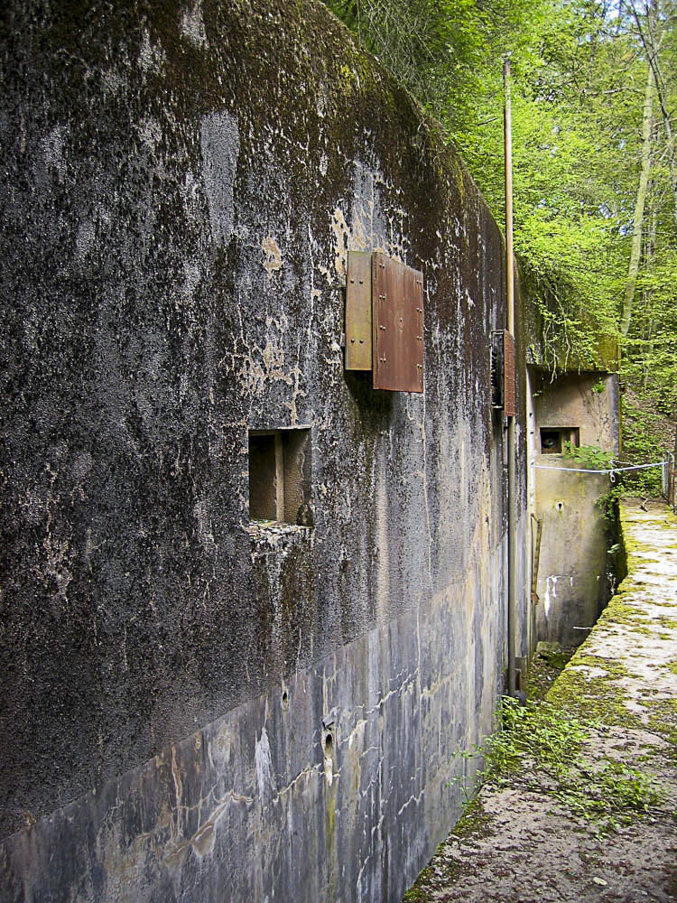 Ligne Maginot - ZEITERHOLZ - X6 - (Abri) - Façade arrière de l'abri et fossé diamant - Michel Teiten