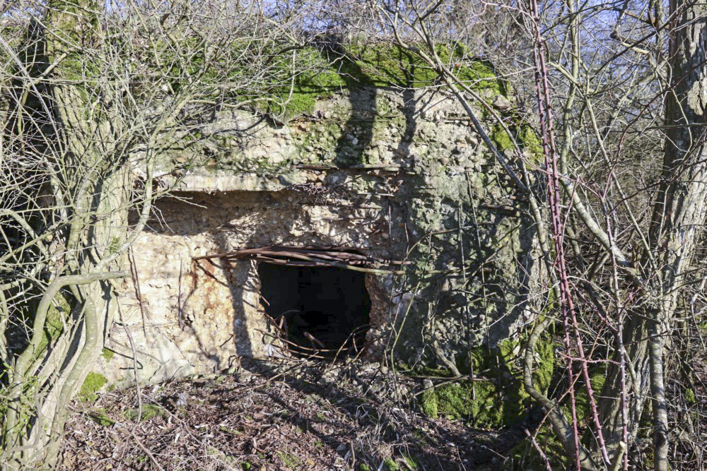 Ligne Maginot - CB12 - (Blockhaus pour canon) -  - Alain Perouffe