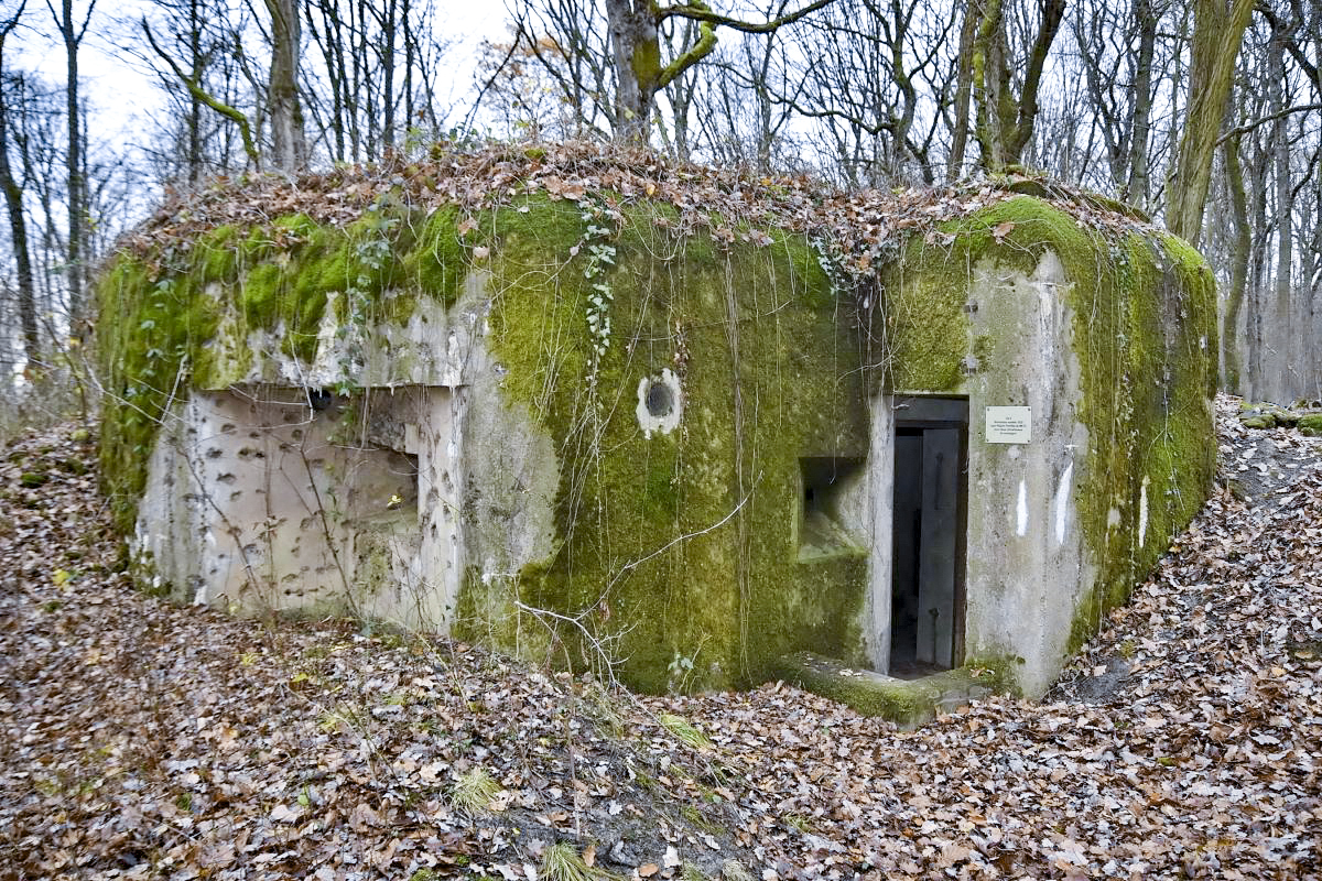 Ligne Maginot - CB9 - ROCKSWINGERT - (Blockhaus pour arme infanterie) - Créneau gauche extérieur et entrée - D.Froehly