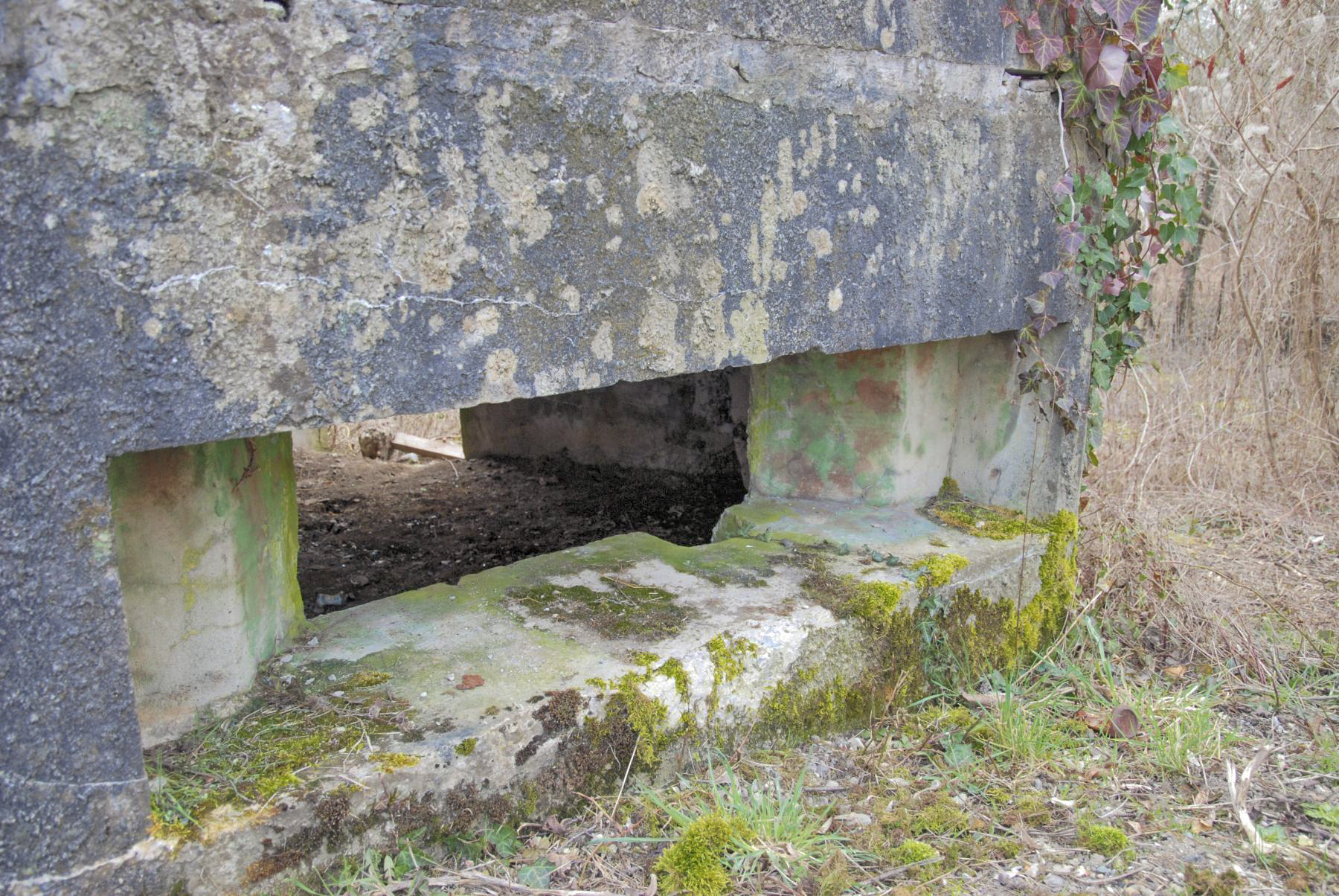 Ligne Maginot - ECLUSE 83 1 - (Blockhaus pour canon) - La peinture de camouflage est encore visible dans le créneau de gauche - knapp ludovic