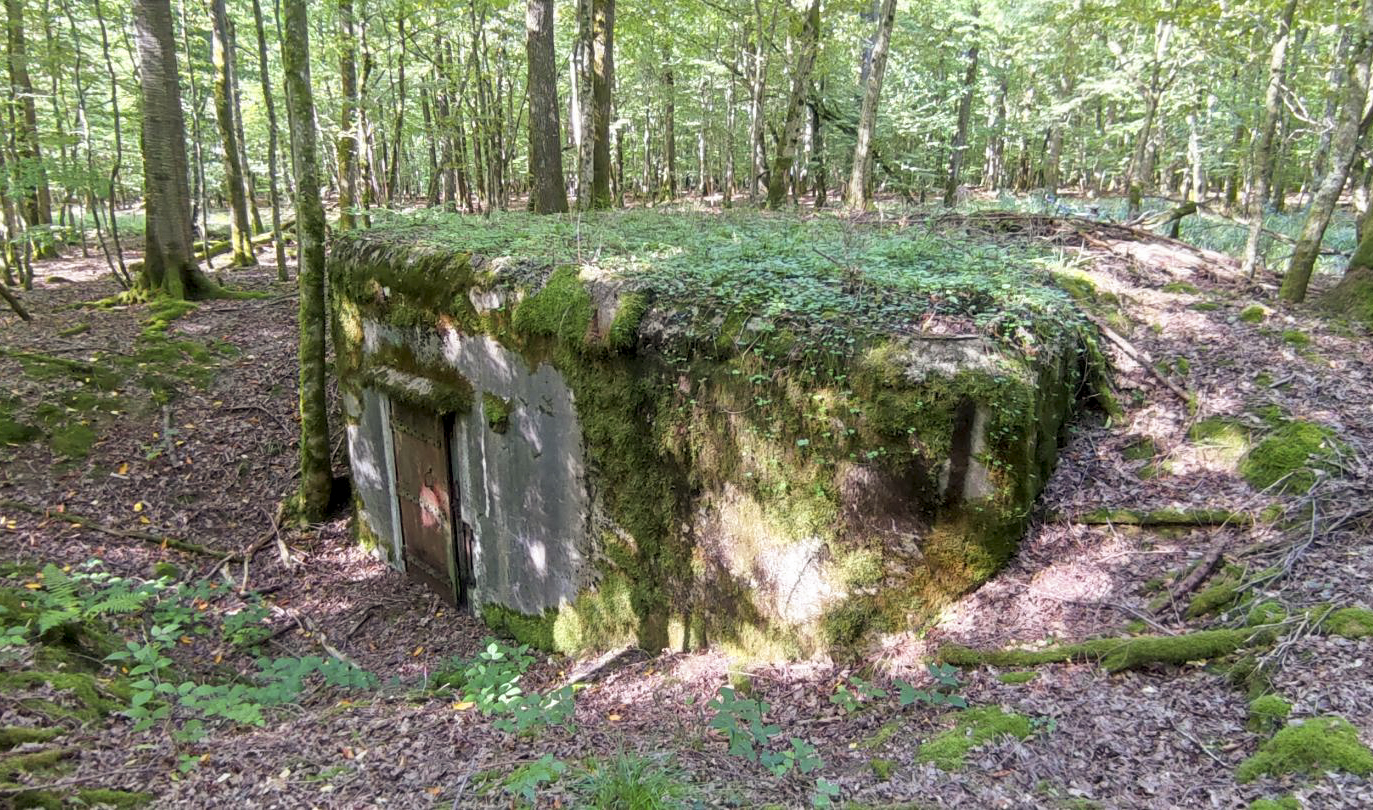 Ligne Maginot - G1 - (Chambre de coupure - Avec central) - Vue du blockhaus - J.L