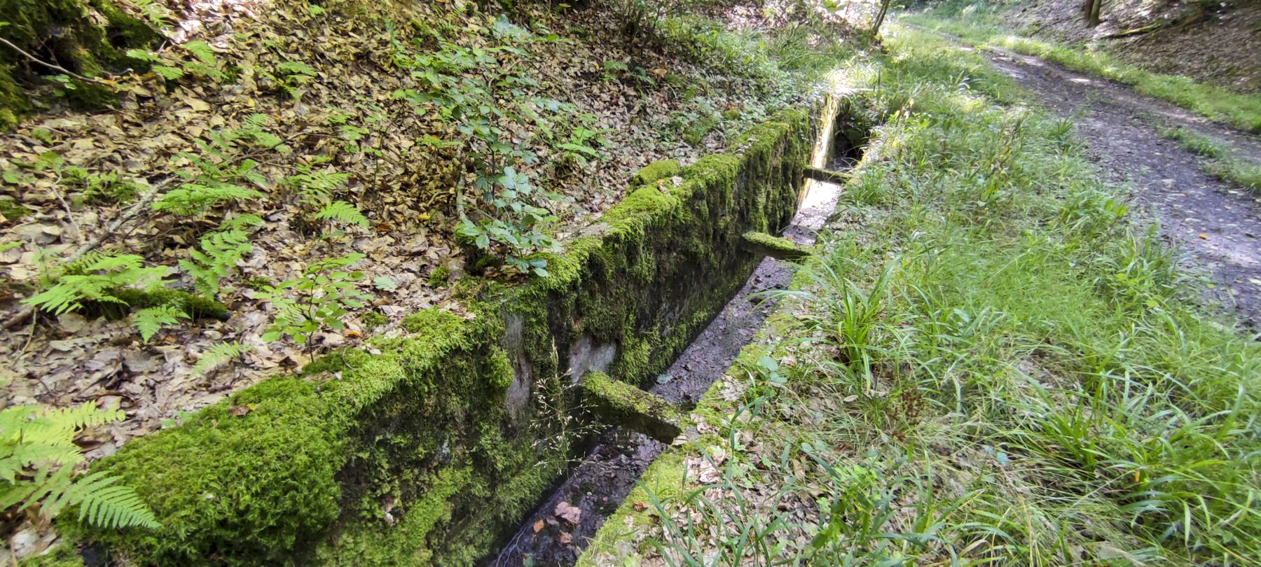 Ligne Maginot - VERLORENERBACH - (DMP - Dispositif de Mine Permanent) - Aménagements bétonnés pour cette route militaire de secours  - J.Luc