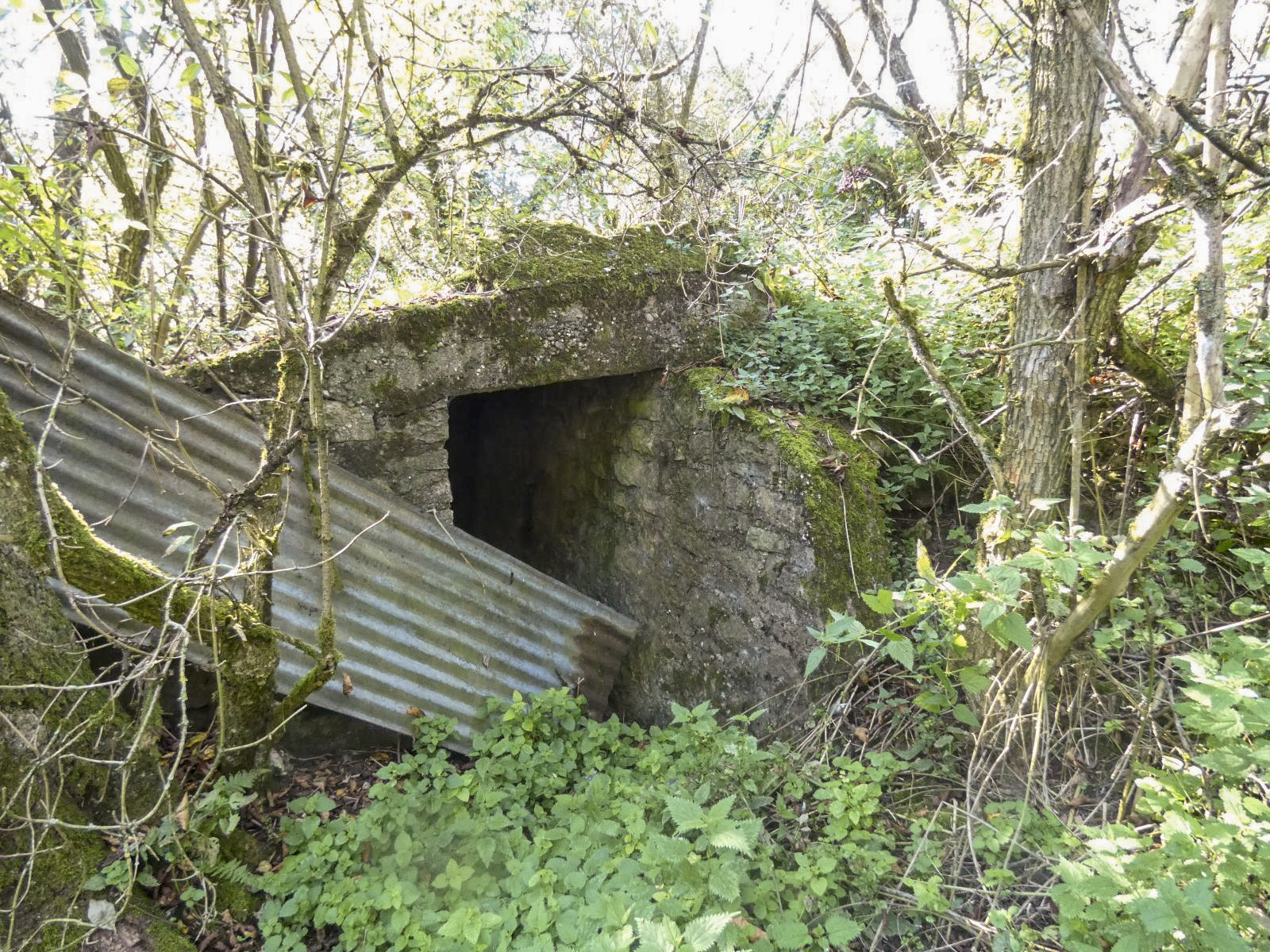 Ligne Maginot - BOMBACHERHOF - FERME BOMBACH (3°BON 166° RIF) - (PC de Quartier) - Annexe gauche
L’accès de l'abri - Minich Jean-Michel