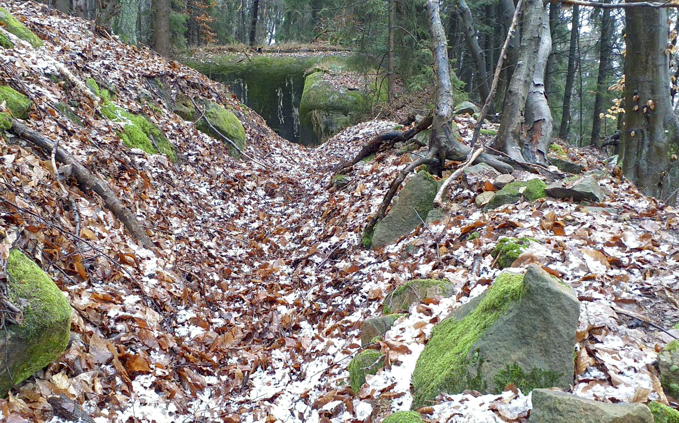 Ligne Maginot - HOCHWALD HAUT AVANT - BLOC 20 - O7 - (Observatoire d'artillerie) - Tranchée vers l'observatoire - Gregory Fuchs