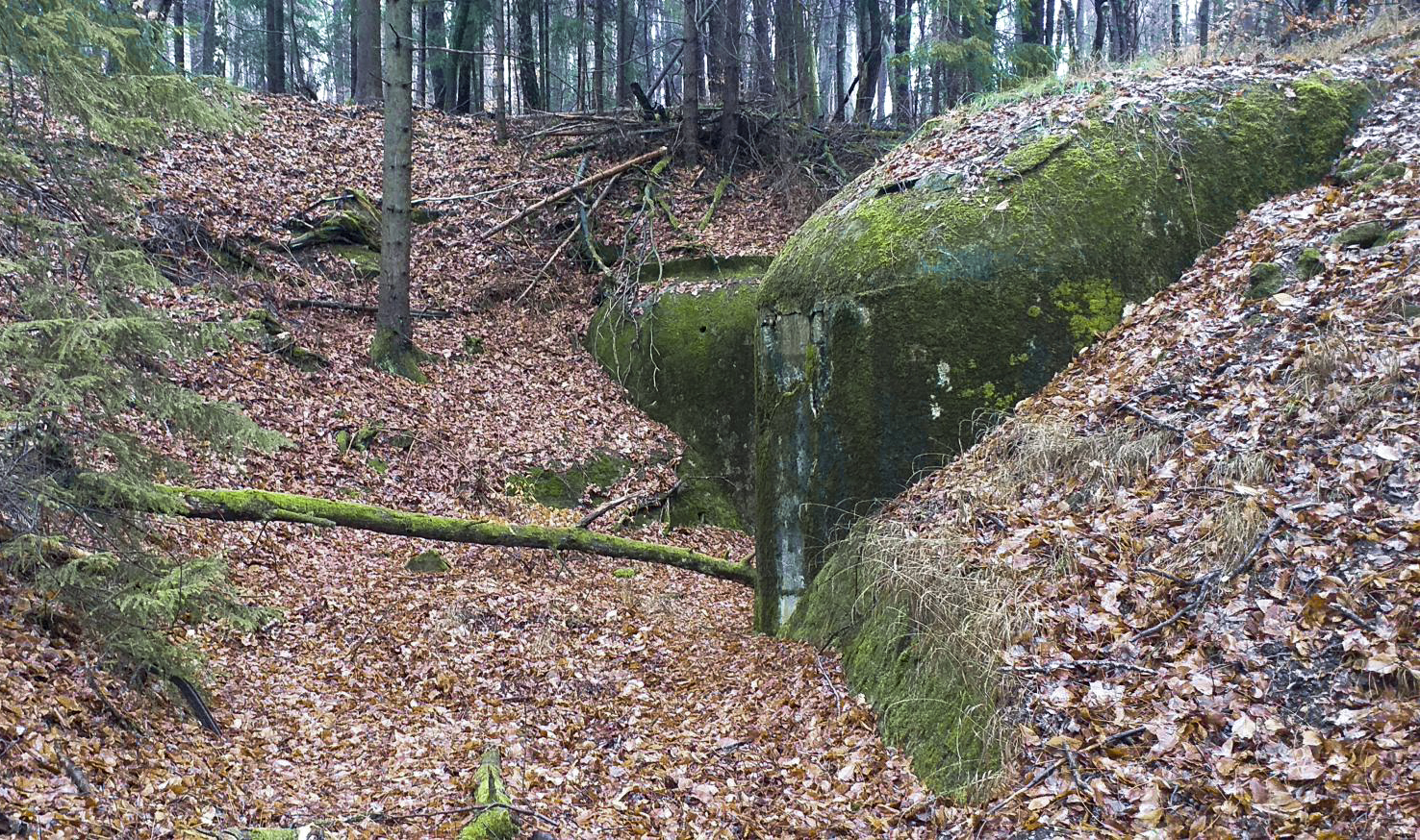 Ligne Maginot - HOCHWALD HAUT AVANT - BLOC 20 - O7 - (Observatoire d'artillerie) - Rampe d'accès latéral pour le matériel - Gregory Fuchs