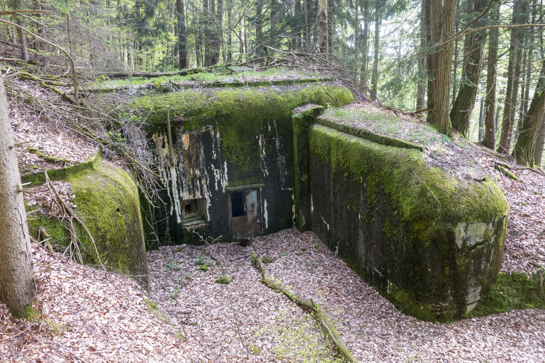 Ligne Maginot - HOCHWALD HAUT AVANT - BLOC 20 - O7 - (Observatoire d'artillerie) - Vue générale de l'entrée - Michel Teiten