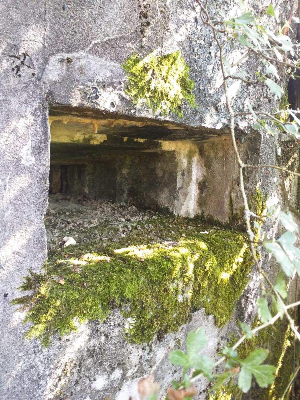Ligne Maginot - M120B - BREITMATT - (Blockhaus pour arme infanterie) -  - Minich jean michel