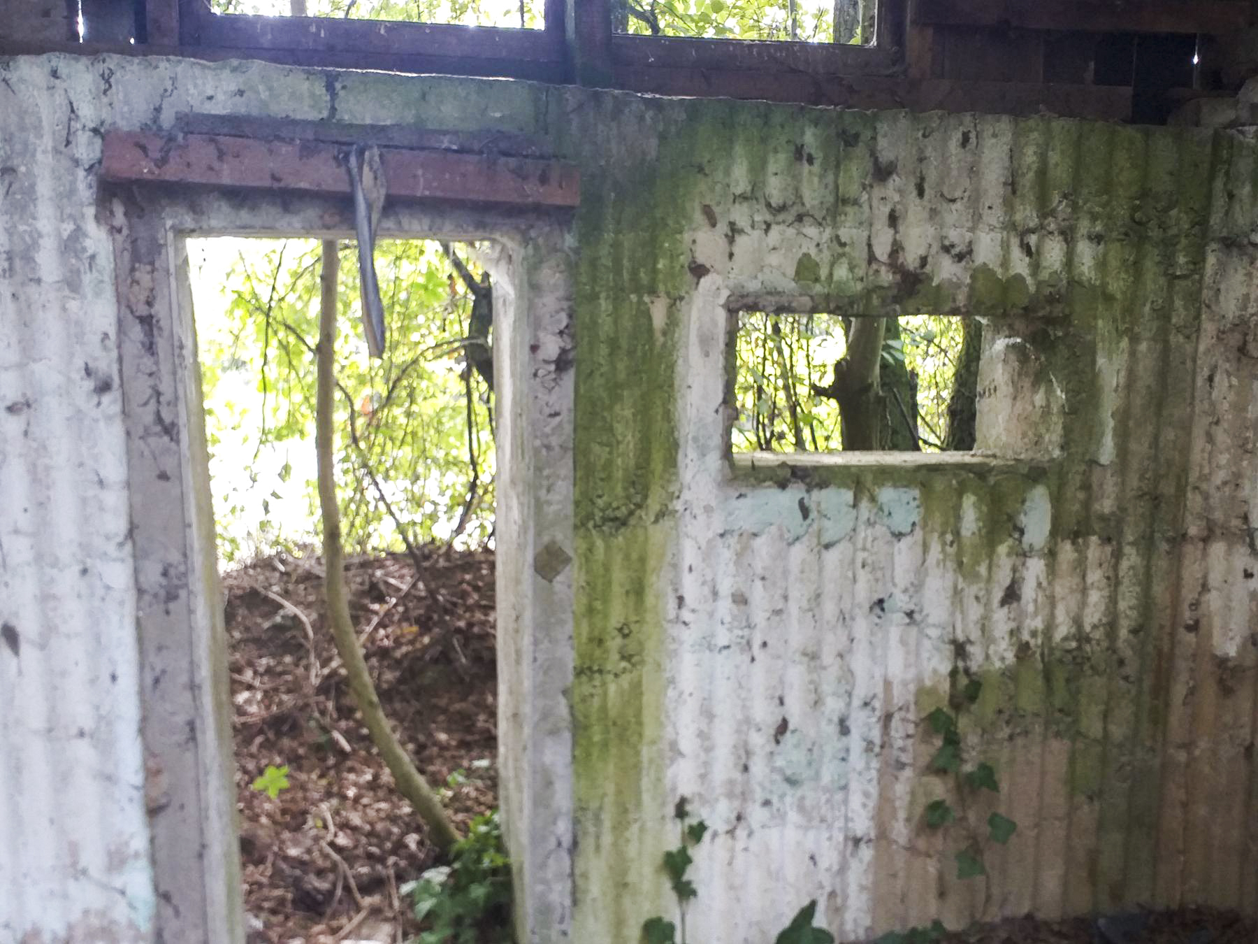 Ligne Maginot - NACHTWEID - (Blockhaus de type indéterminé) - Petit casernement à proximité - Minich jean michel