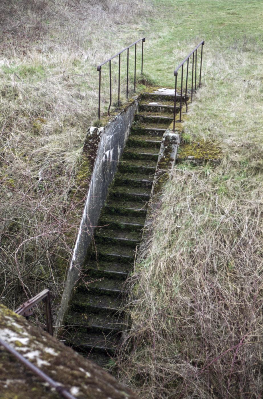 Ligne Maginot - BOUST - O13 - (Observatoire d'artillerie) - L'escalier vers l'entrée - MANSUY Michel