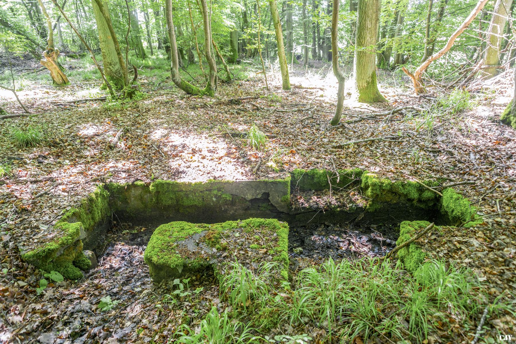 Ligne Maginot - TAUBRUNNENWALD 6 - (Cuve pour arme d'infanterie) -                     - Lia VERMEULEN