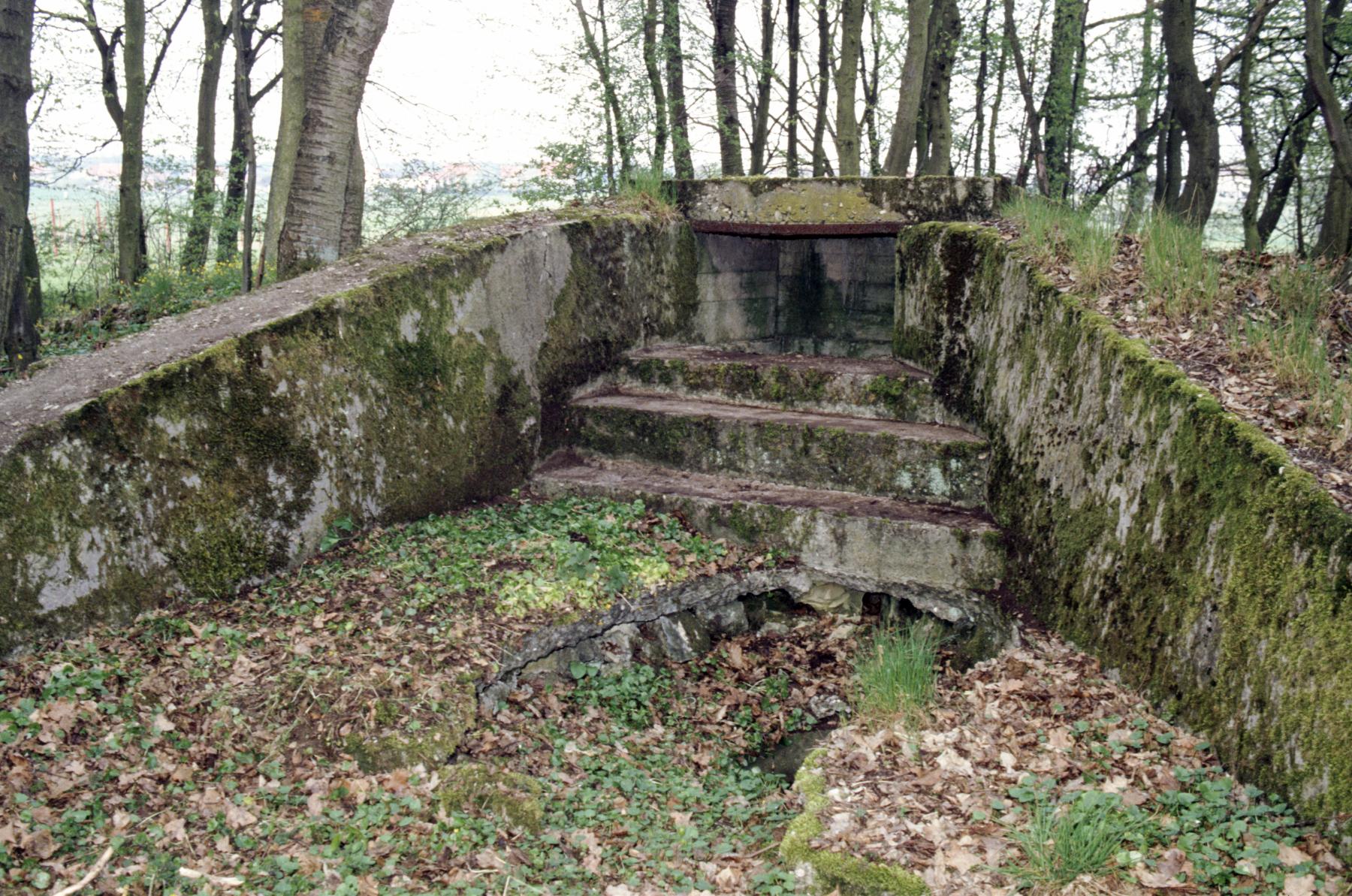 Ligne Maginot - TAUBRUNNENWALD 12 - FT - (Blockhaus pour arme infanterie) - L'entrée en puits - MANSUY Michel