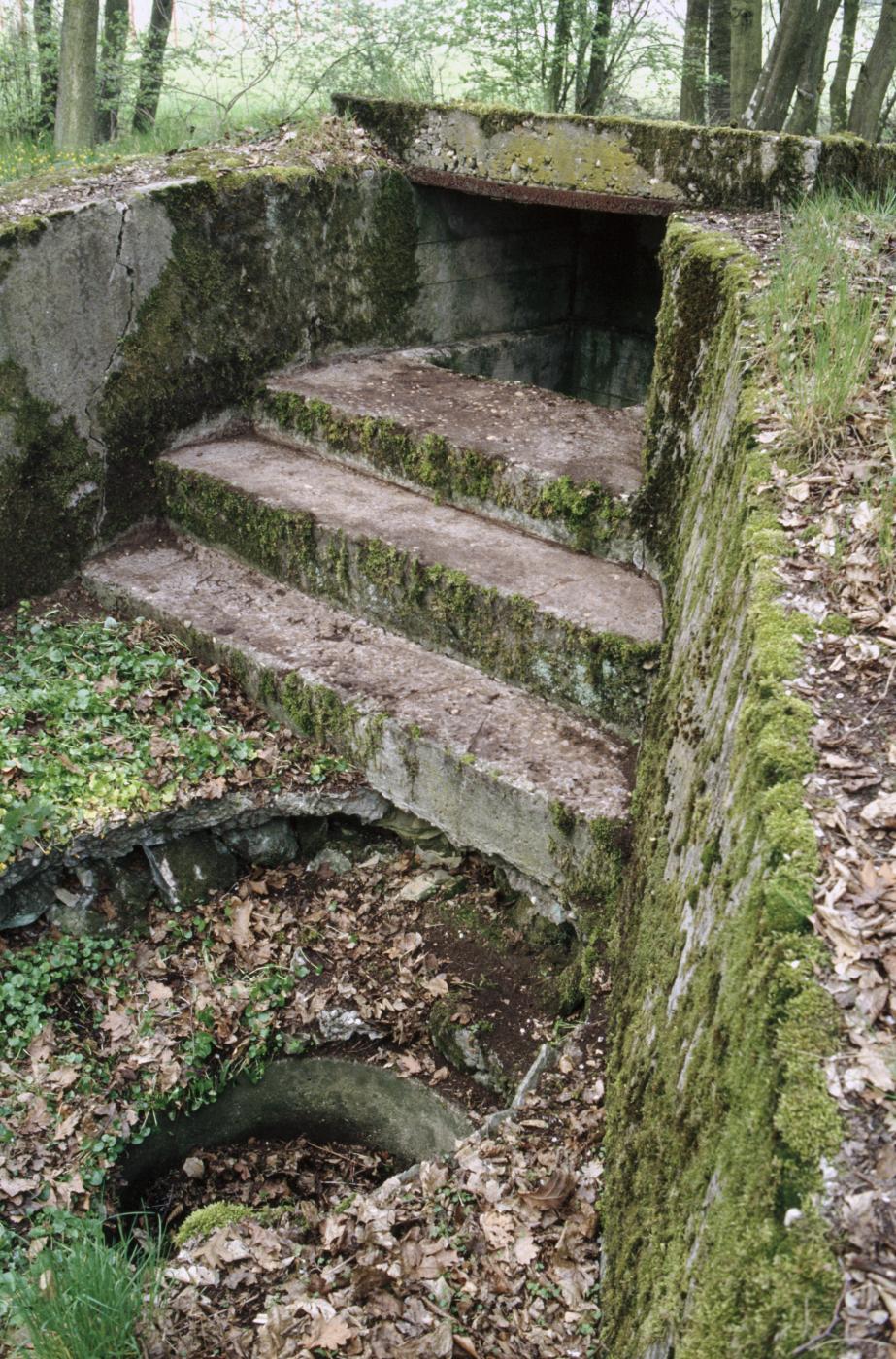 Ligne Maginot - TAUBRUNNENWALD 12 - FT - (Blockhaus pour arme infanterie) - L'entrée en puits - MANSUY Michel