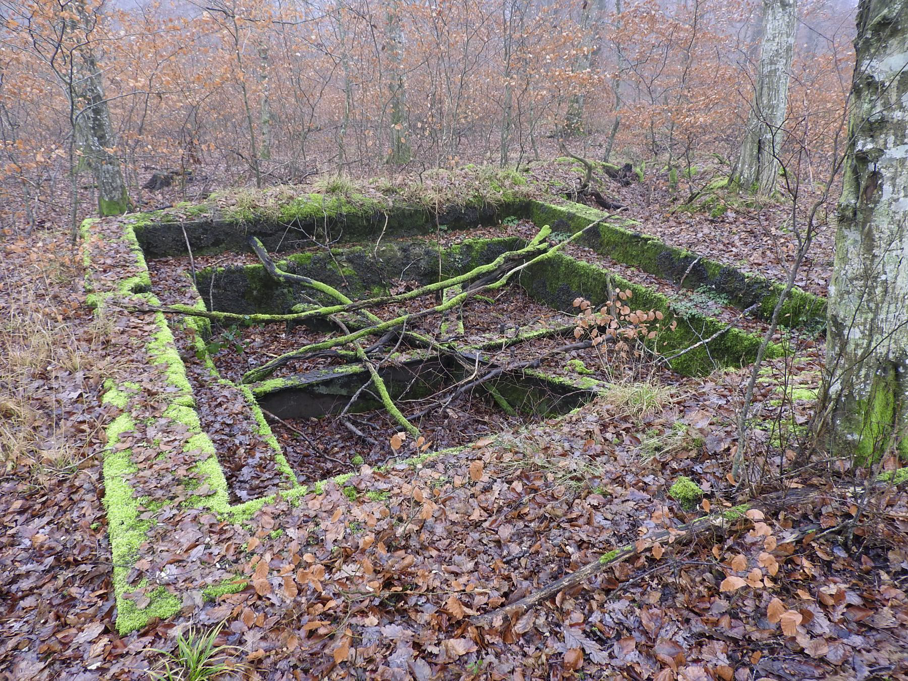 Ligne Maginot - ROHRWALD - (Cuve pour canon) - La cuve pour un canon de 65mm. - STENGER Mathieu
