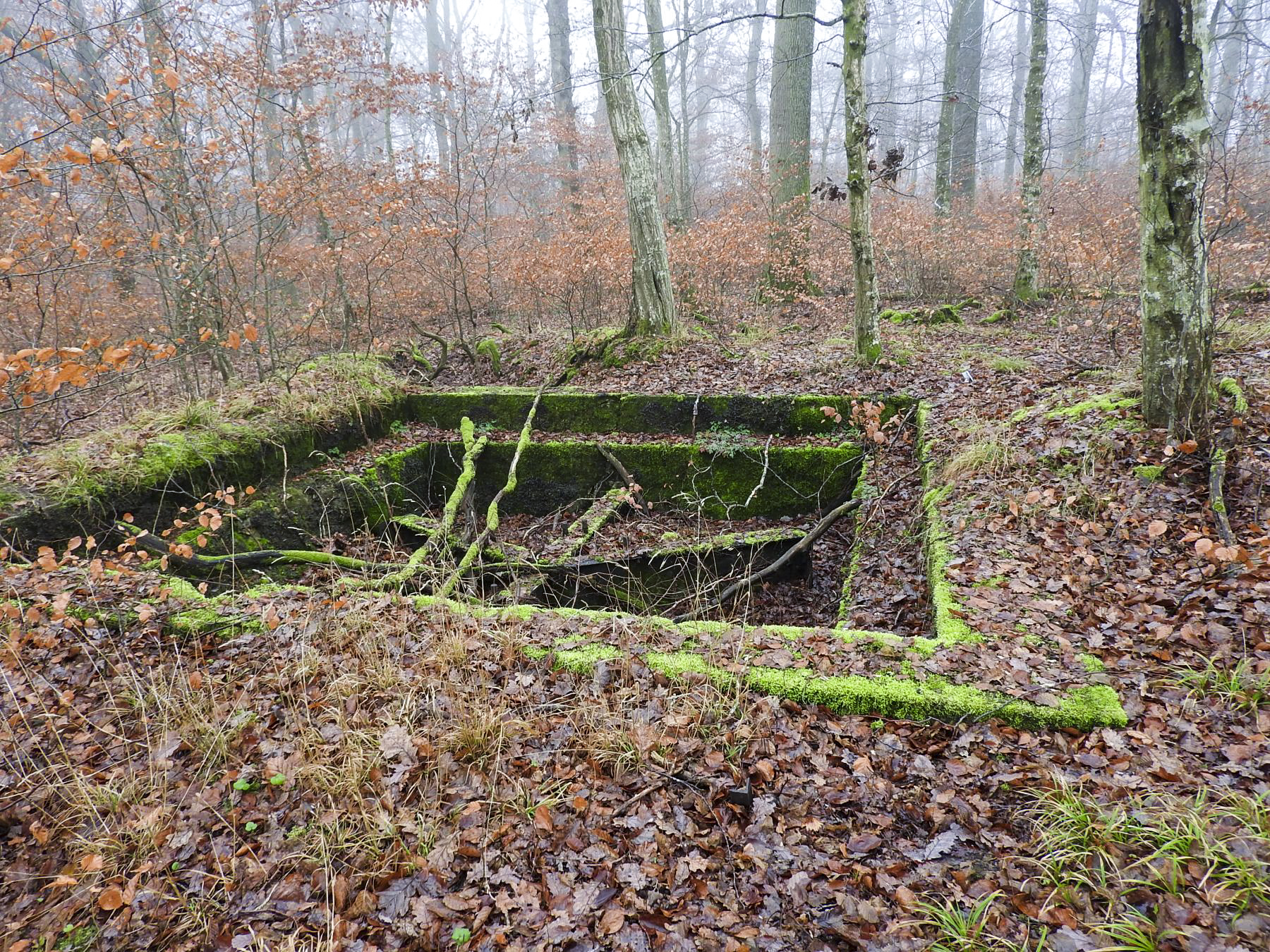 Ligne Maginot - ROHRWALD - (Cuve pour canon) - Une vue d'ensemble de la plate-forme. - STENGER Mathieu