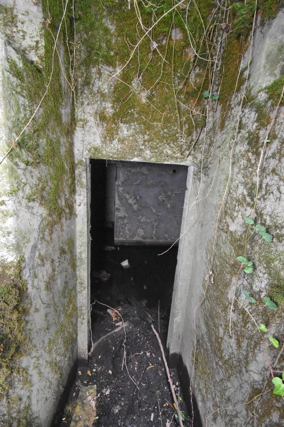 Ligne Maginot - T493 - PA DU CARREFOUR 248 - (Cuve pour arme d'infanterie) - L'accès à la cuve pour TD depuis l'abri - Daniel Froehly