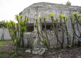 Ligne Maginot - VICQ  NORD - (Blockhaus lourd type STG / STG-FCR - Double) - Les créneaux du poste d'observation
Les autres créneaux sont murés