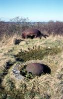 Ligne Maginot - BOVENBERG - A27 - (Ouvrage d'infanterie) - Bloc 4
Prise d'air et cloche factice