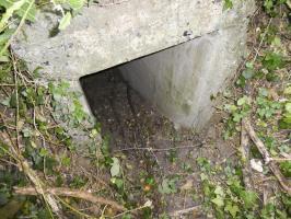 Ligne Maginot - B427 - CONDE 5 - (Blockhaus pour arme infanterie) - L'entrée
