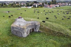 Ligne Maginot - TRINQUETTE - (Casemate d'infanterie - Simple) - 