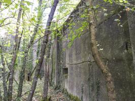 Ligne Maginot - LANGENSOULTZBACH - (Stand de tir) - Le mur d'aile gauche et son créneau