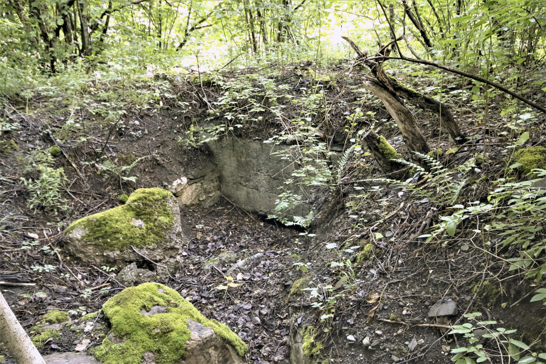 Ligne Maginot - LES EULETS - (Blockhaus pour canon) - L'entrée - Michel & Philippe ZIMMER