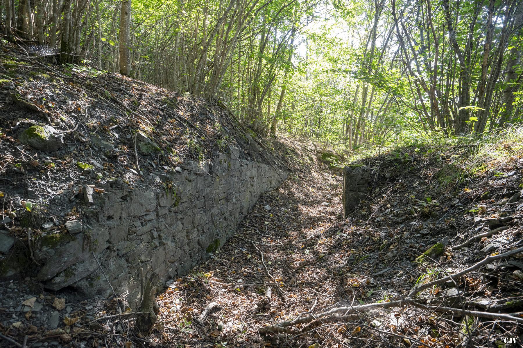 Ligne Maginot - LES EULETS - (Blockhaus pour canon) - La tranchée vers le blockhaus - Lia VERMEULEN