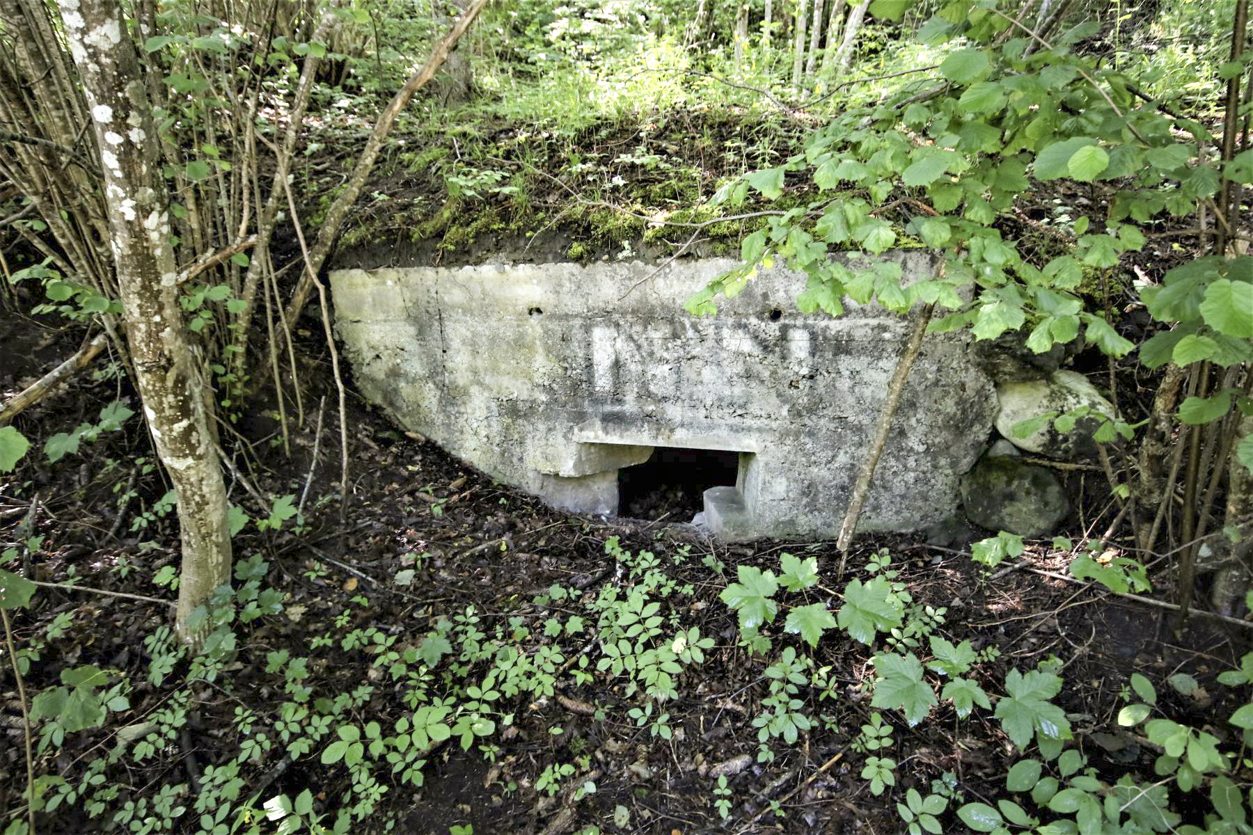 Ligne Maginot - LES EULETS - (Blockhaus pour canon) - Créneau - Michel & Philippe ZIMMER