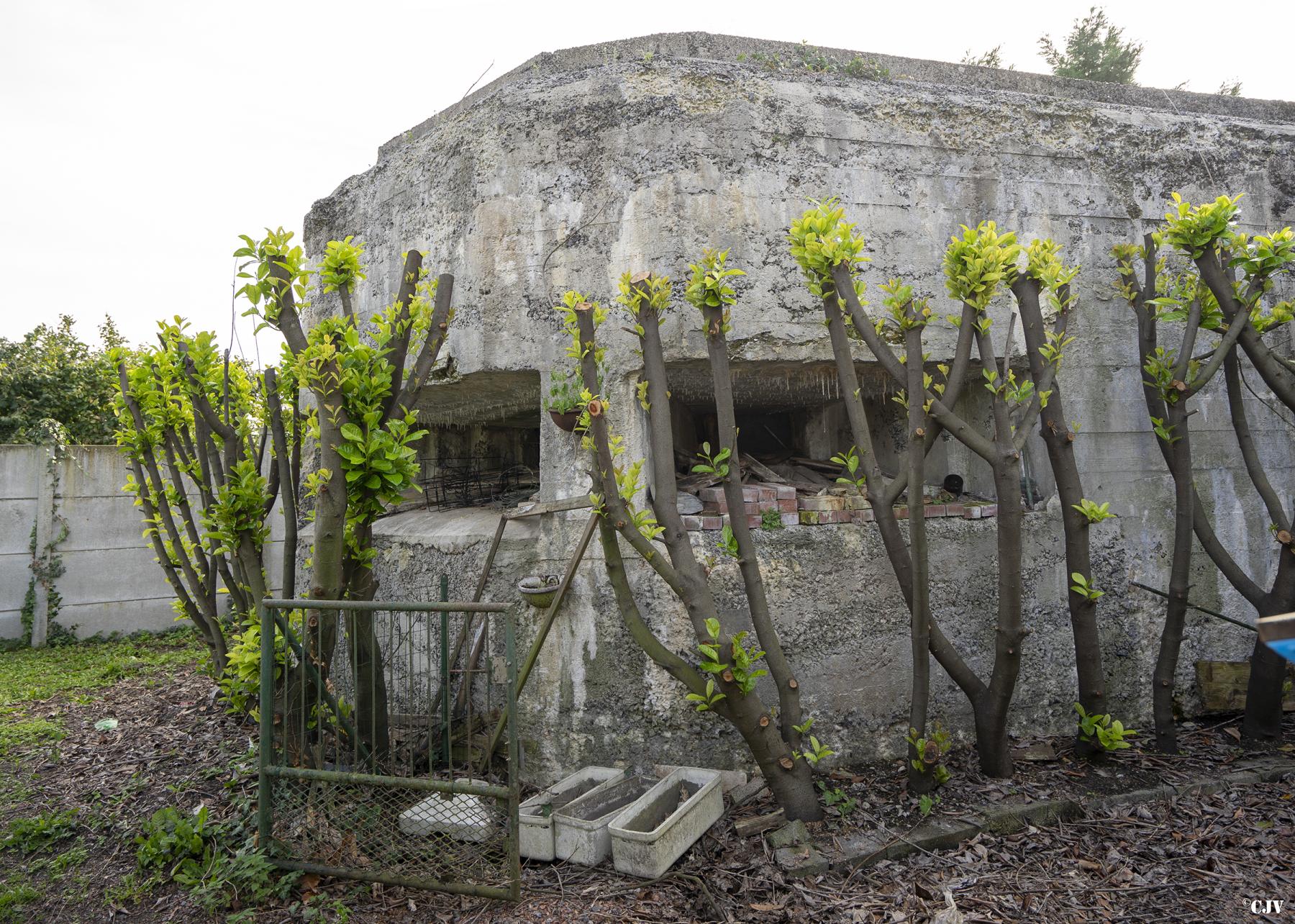 Ligne Maginot - VICQ  NORD - (Blockhaus lourd type STG / STG-FCR - Double) - Les créneaux du poste d'observation
Les autres créneaux sont murés - Lia VERMEULEN