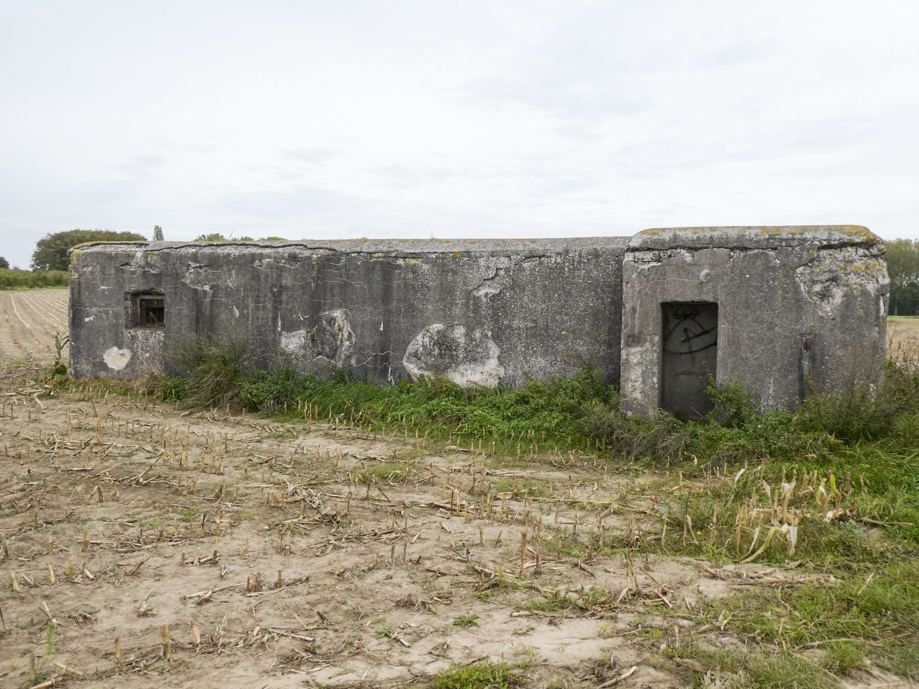 Ligne Maginot - B378 - BOIS MONTOIR (PDS) - (Abri actif) - Vue coté gauche - ELLENA Daniel - CUNY Philippe