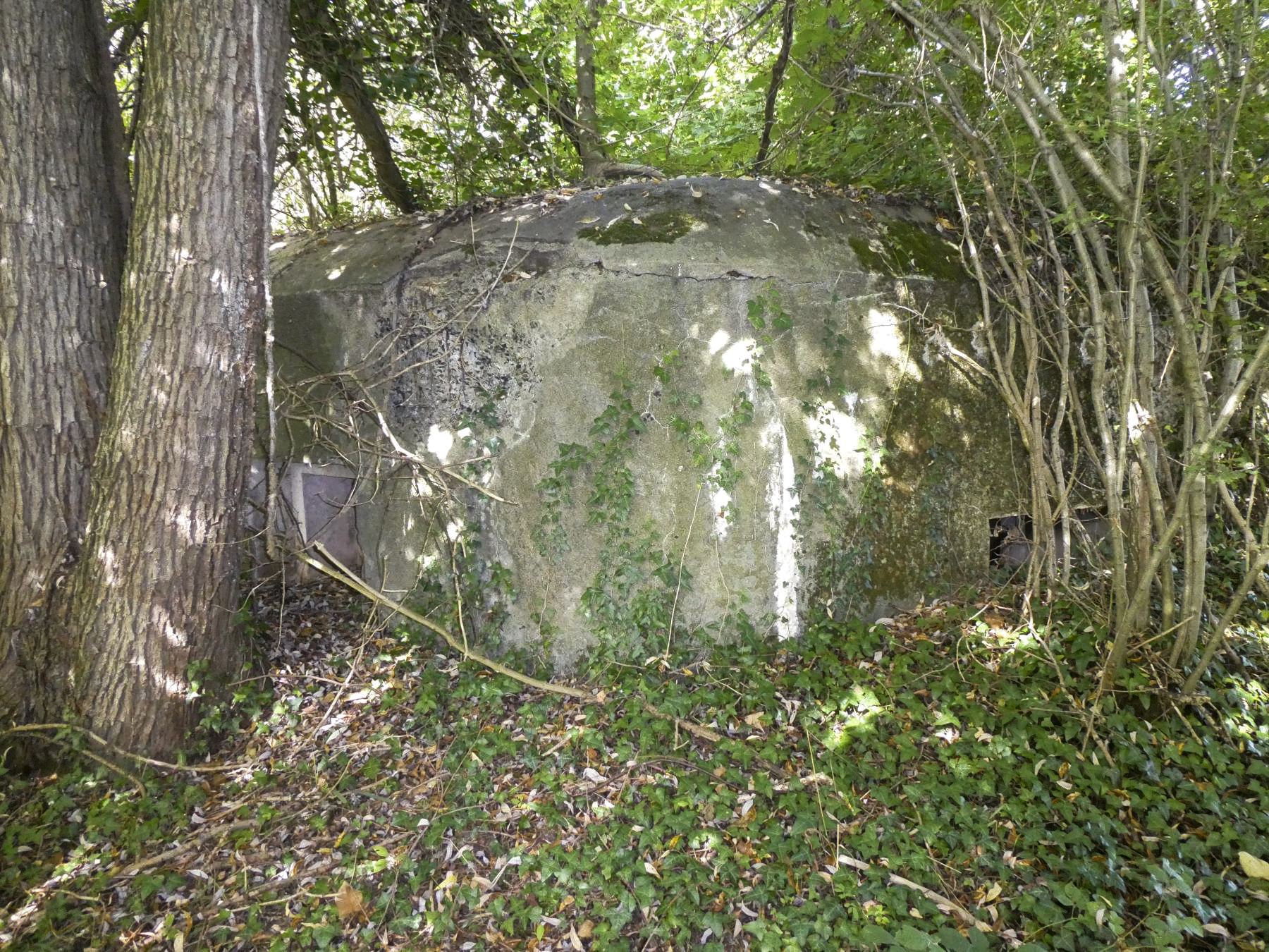 Ligne Maginot - B636 - BOIS D'ELESMES - (Blockhaus pour canon) -  - ELLENA Daniel - CUNY Philippe