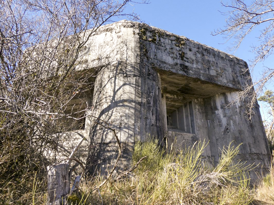 Ligne Maginot - O38 - PETITE TETIERE - (Casemate d'infanterie) -  - ELLENA - CUNY