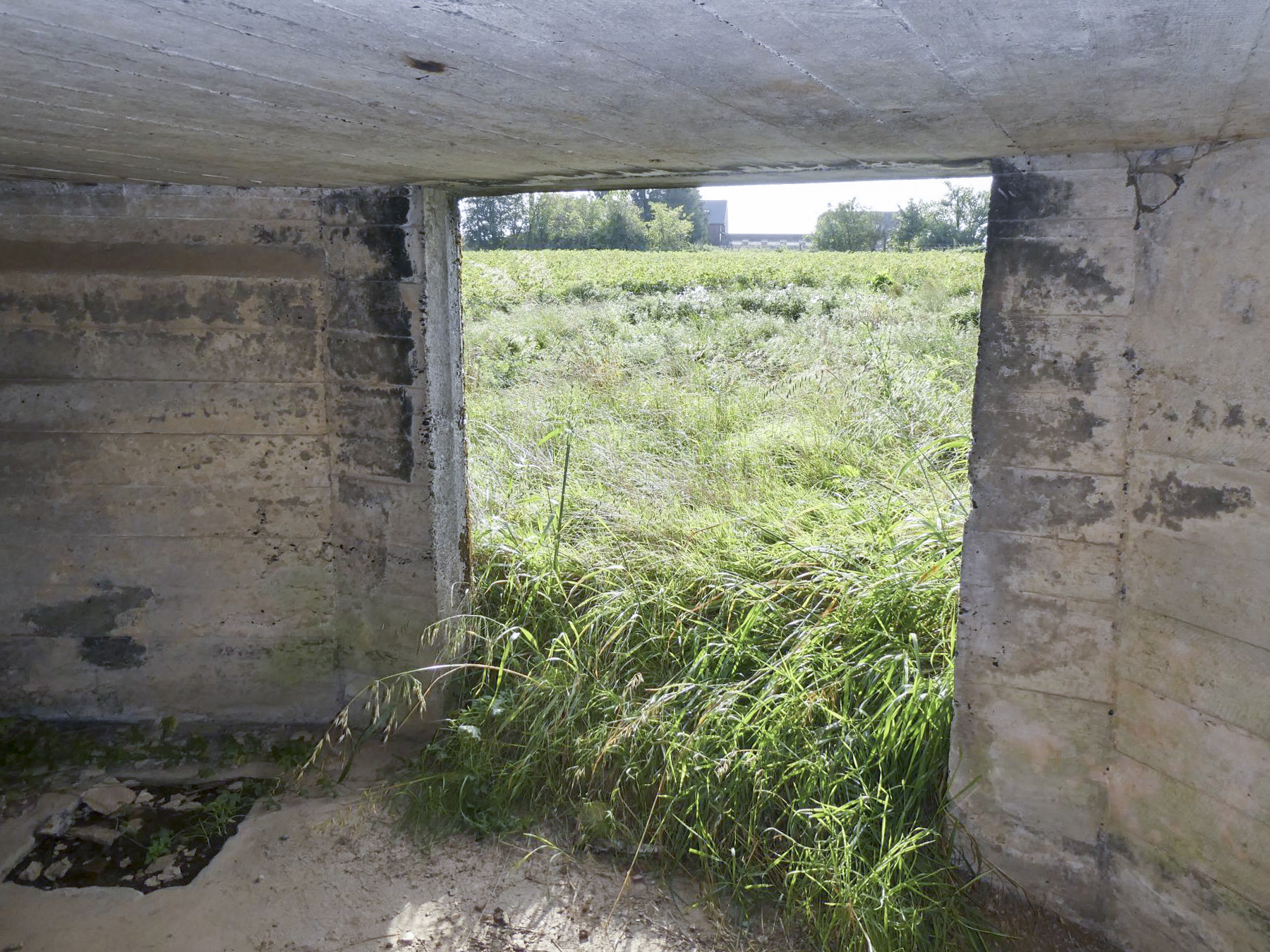 Ligne Maginot - B613 - LA PISSELOTTE - (Blockhaus pour canon) - L'entrée  - ELLENA Daniel - CUNY Philippe