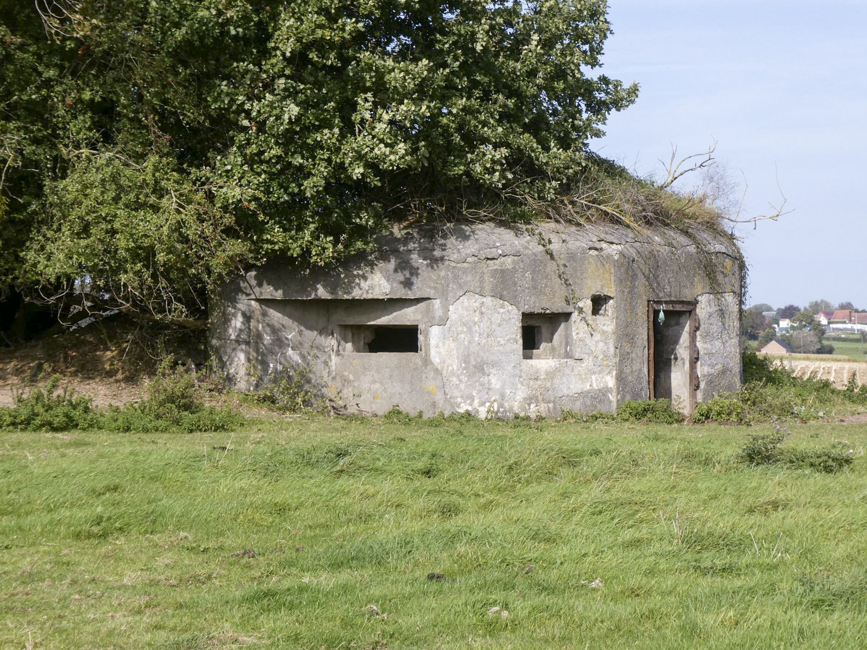 Ligne Maginot - B577 - LE GROS CHENE - (Blockhaus pour canon) -  - ELLENA Daniel - CUNY Philippe