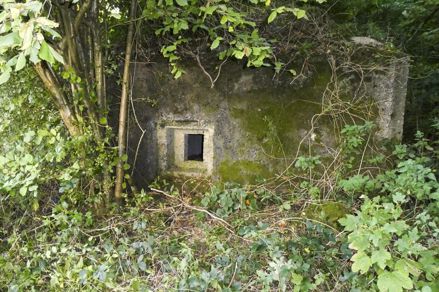 Ligne Maginot - LANIERE OUEST - (Blockhaus pour arme infanterie) -  - ELLENA Daniel - CUNY Philippe