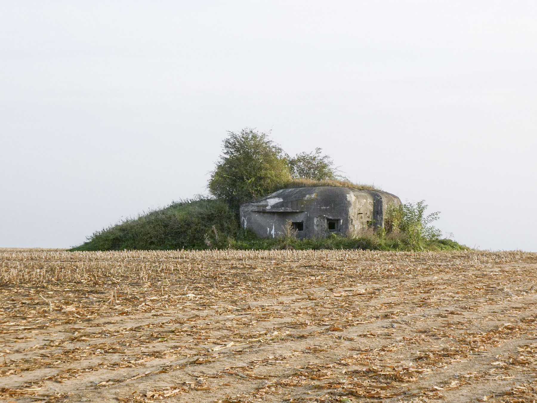 Ligne Maginot - B550 - LA BOETE - (Blockhaus pour canon) -  - ELLENA Daniel - CUNY Philippe
