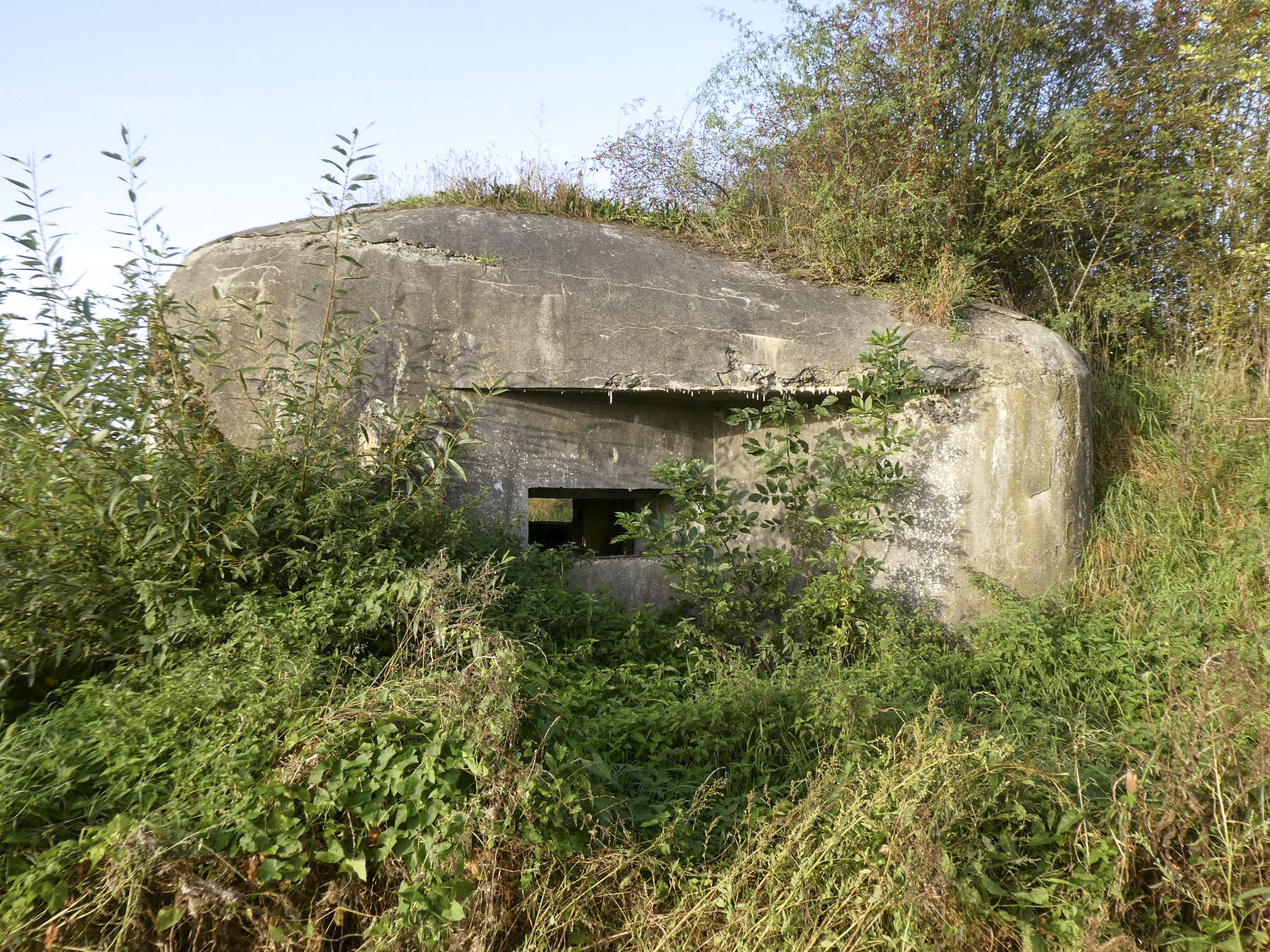 Ligne Maginot - B550 - LA BOETE - (Blockhaus pour canon) -  - ELLENA Daniel - CUNY Philippe