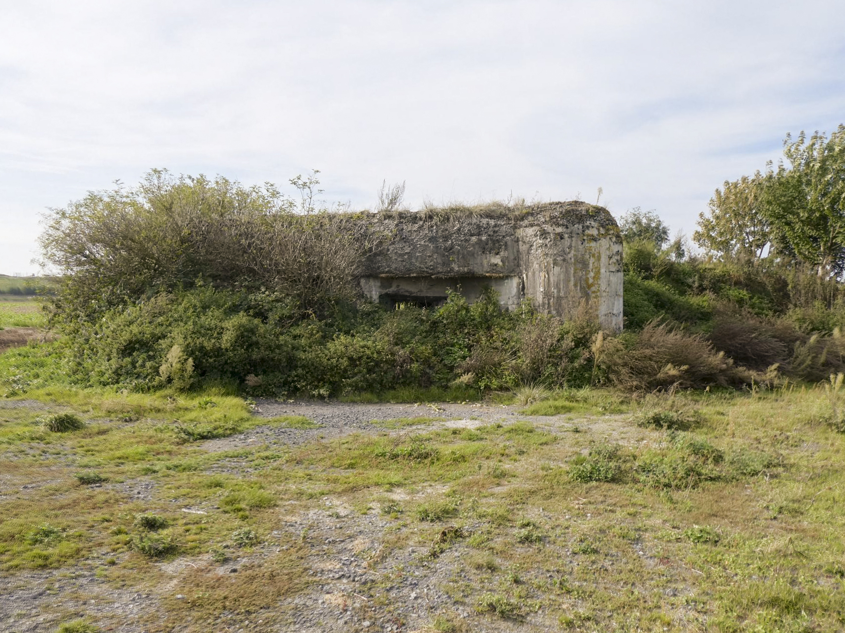 Ligne Maginot - A58 - JENLAIN OUEST - (Blockhaus lourd type STG / STG-FCR - Double) -  - ELLENA Daniel - CUNY Philippe