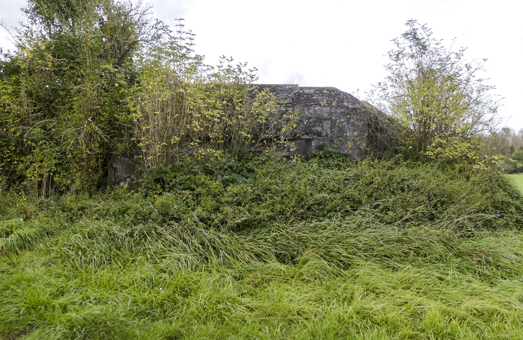 Ligne Maginot - LE CORBEAU - (Blockhaus pour canon) -  - ELLENA Daniel - CUNY Philippe