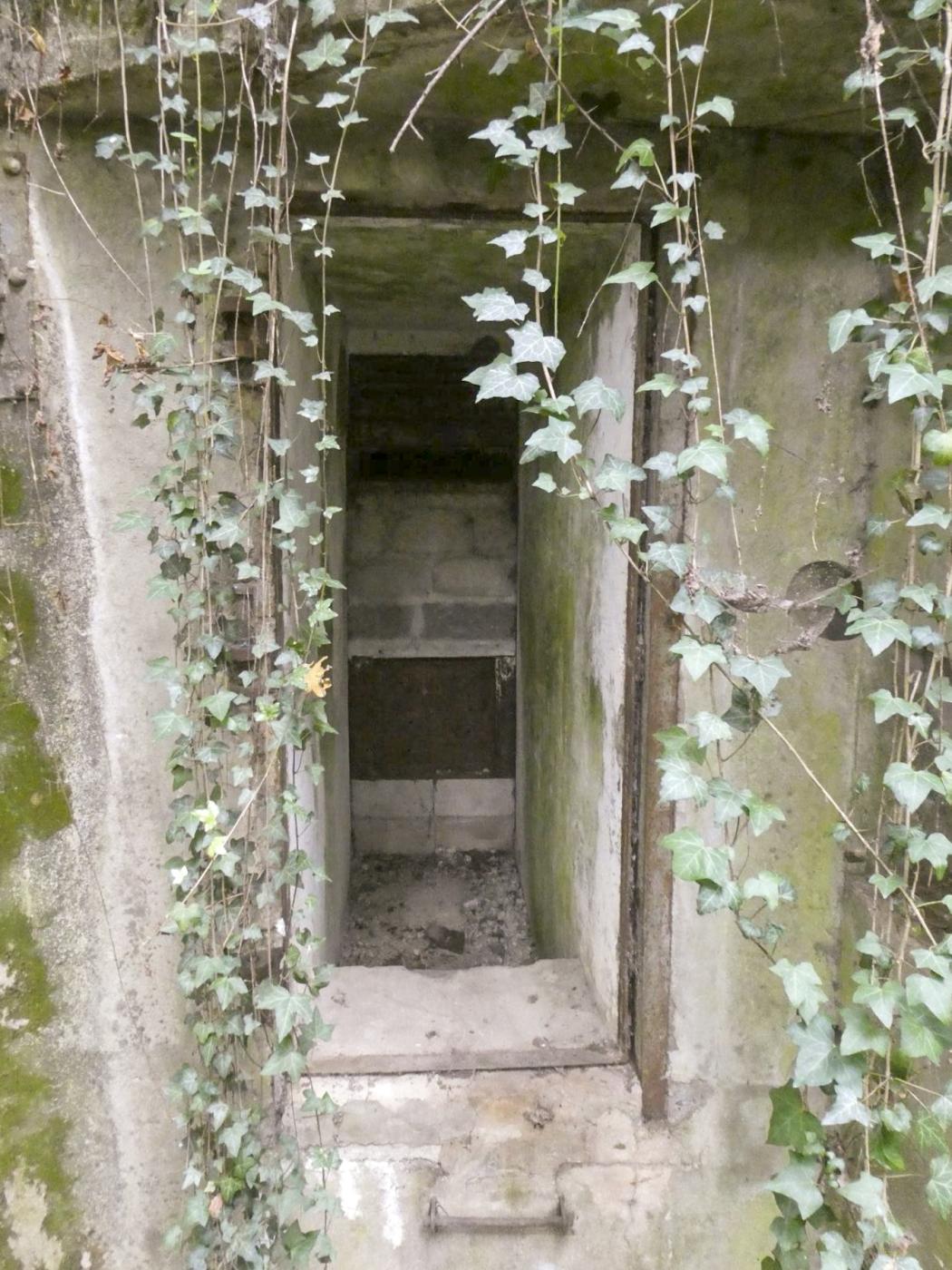 Ligne Maginot - ROSIERES - C3 - (Casemate d'infanterie - Simple) - L'entrée fermée, réserve à chauve-souris - ELLENA Daniel - CUNY Philippe