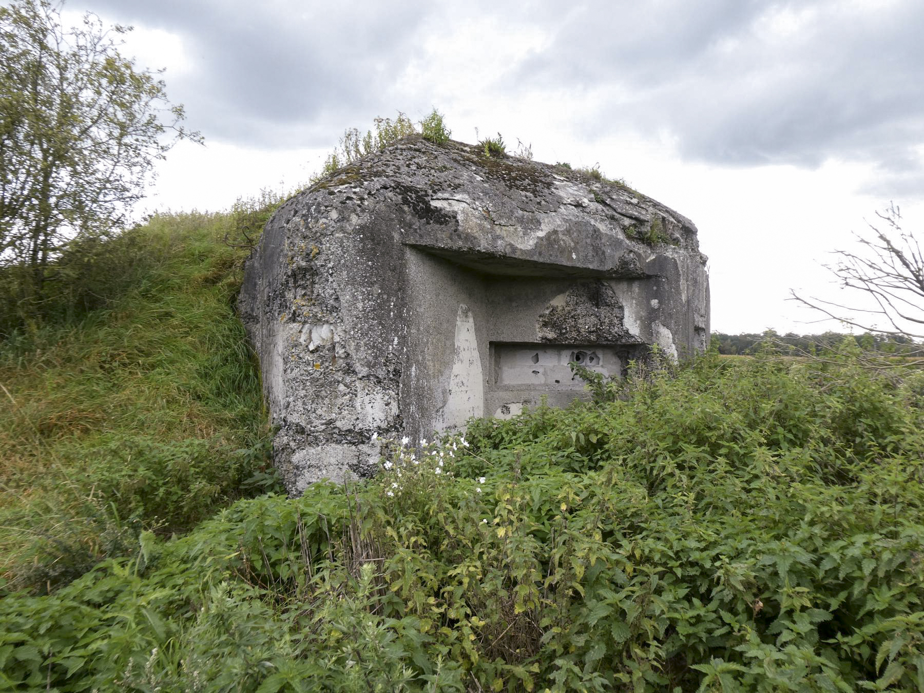 Ligne Maginot - SUD DE BRUILLE - (Blockhaus pour canon) - Créneau 25 AC - ELLENA Daniel - CUNY Philippe