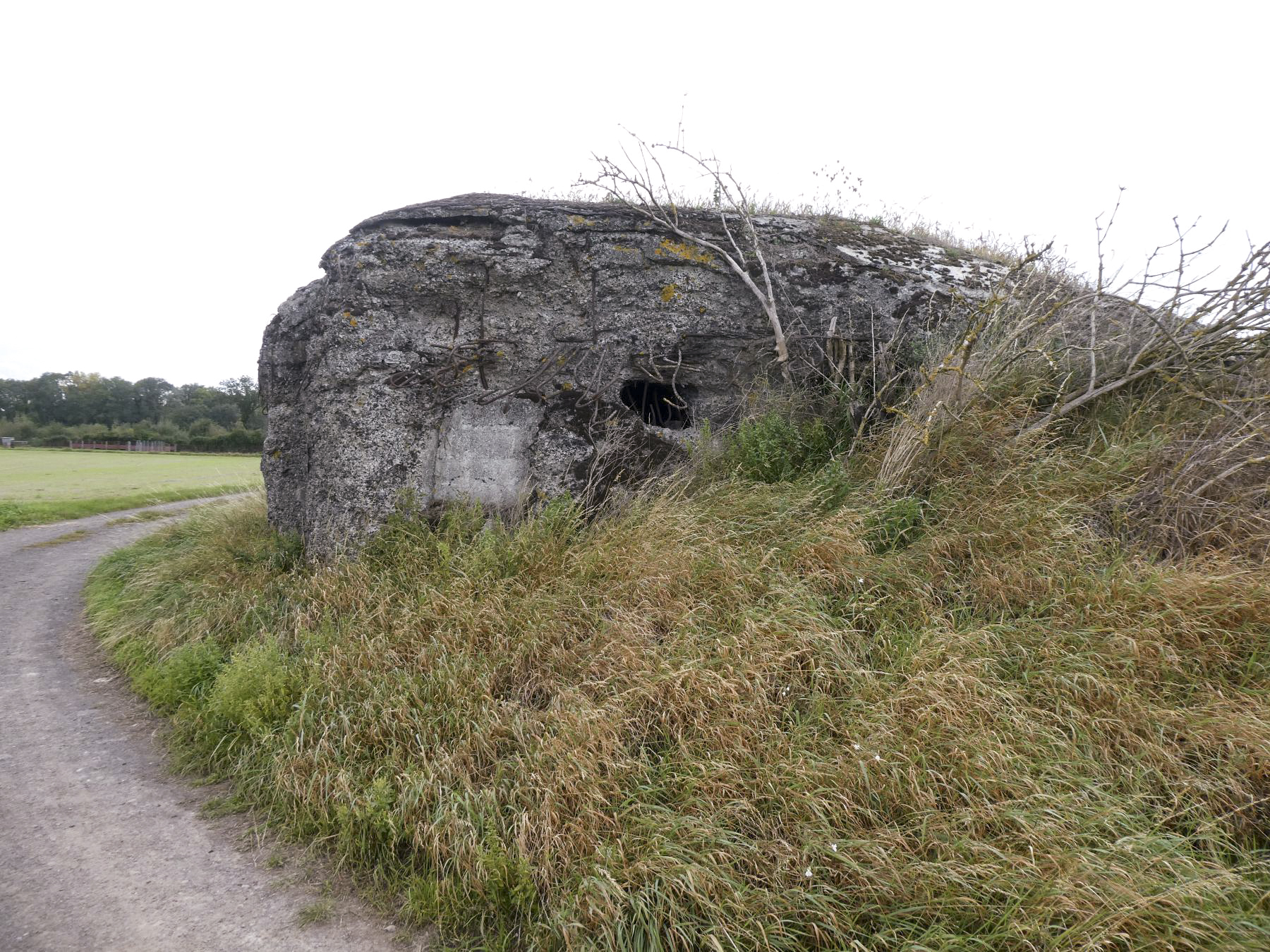 Ligne Maginot - SUD DE BRUILLE - (Blockhaus pour canon) - Créneau 25 AC percé en 1940 - ELLENA Daniel - CUNY Philippe