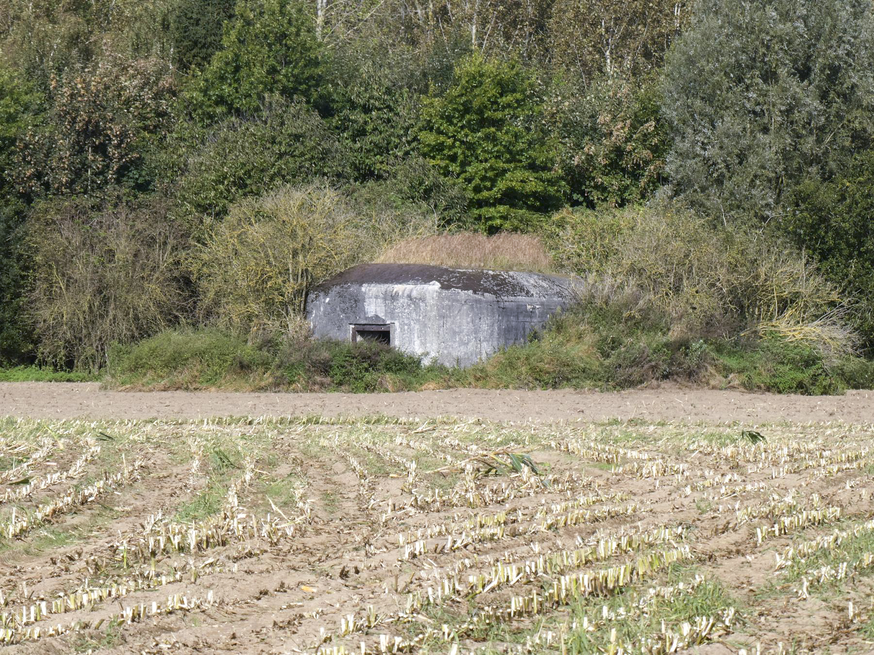 Ligne Maginot - RODIGNIES OUEST - (Blockhaus pour canon) -  - ELLENA Daniel - CUNY Philippe
