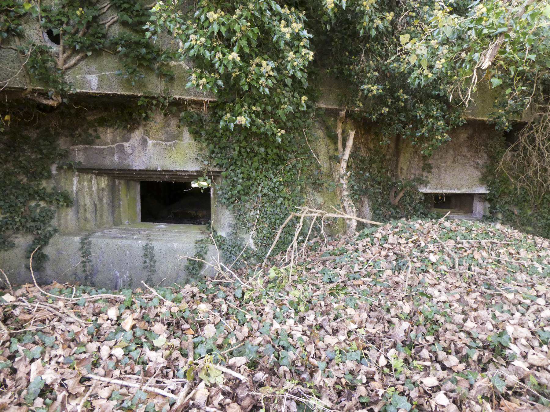 Ligne Maginot - RODIGNIES EST - (Casemate d'infanterie - Double) - Créneaux pour canon de 25mm et mitrailleuse Hotchkiss - ELLENA Daniel - CUNY Philippe