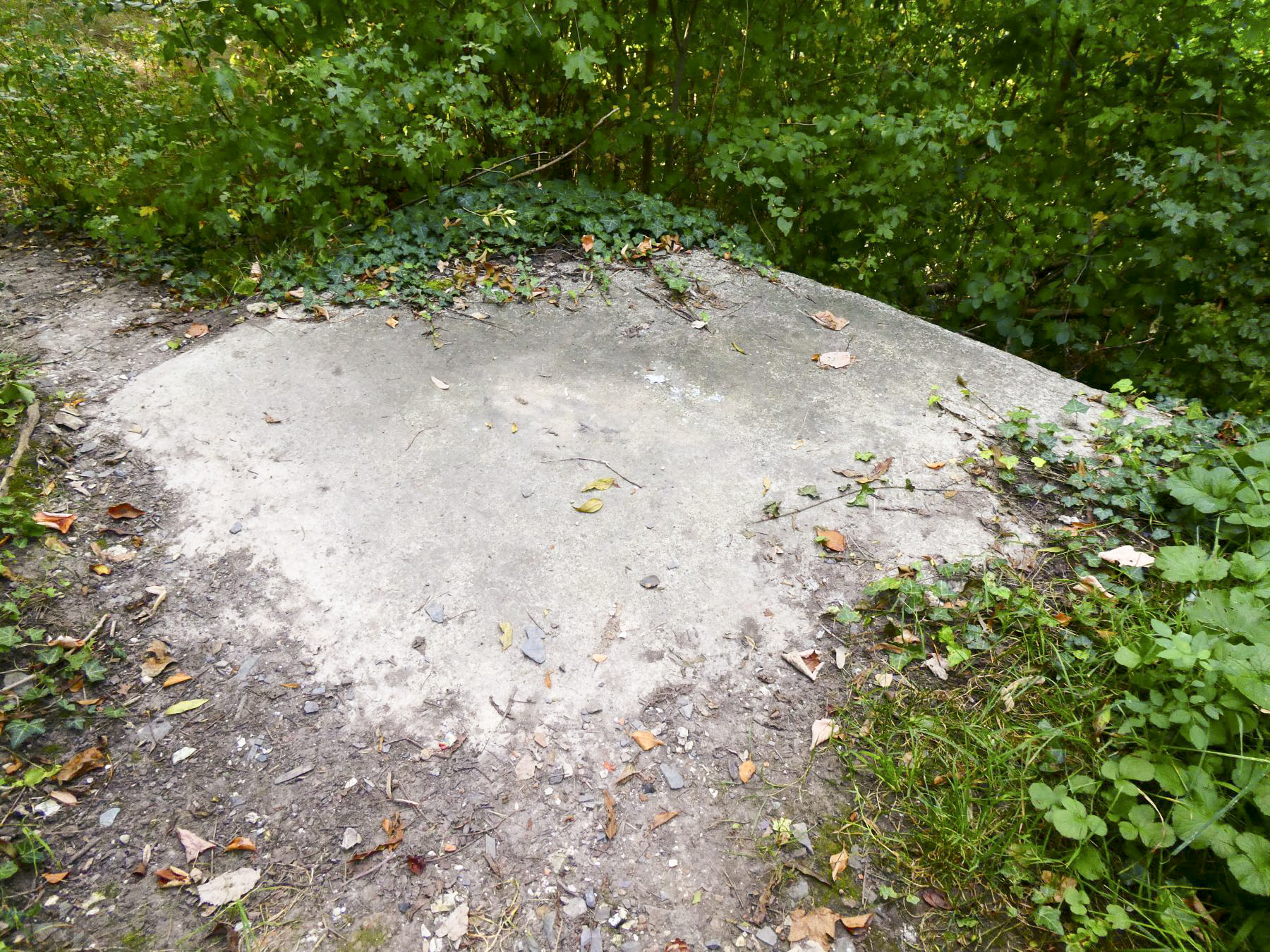 Ligne Maginot - B431 - CONDE 11 - (Blockhaus pour arme infanterie) -  - ELLENA Daniel - CUNY Philippe