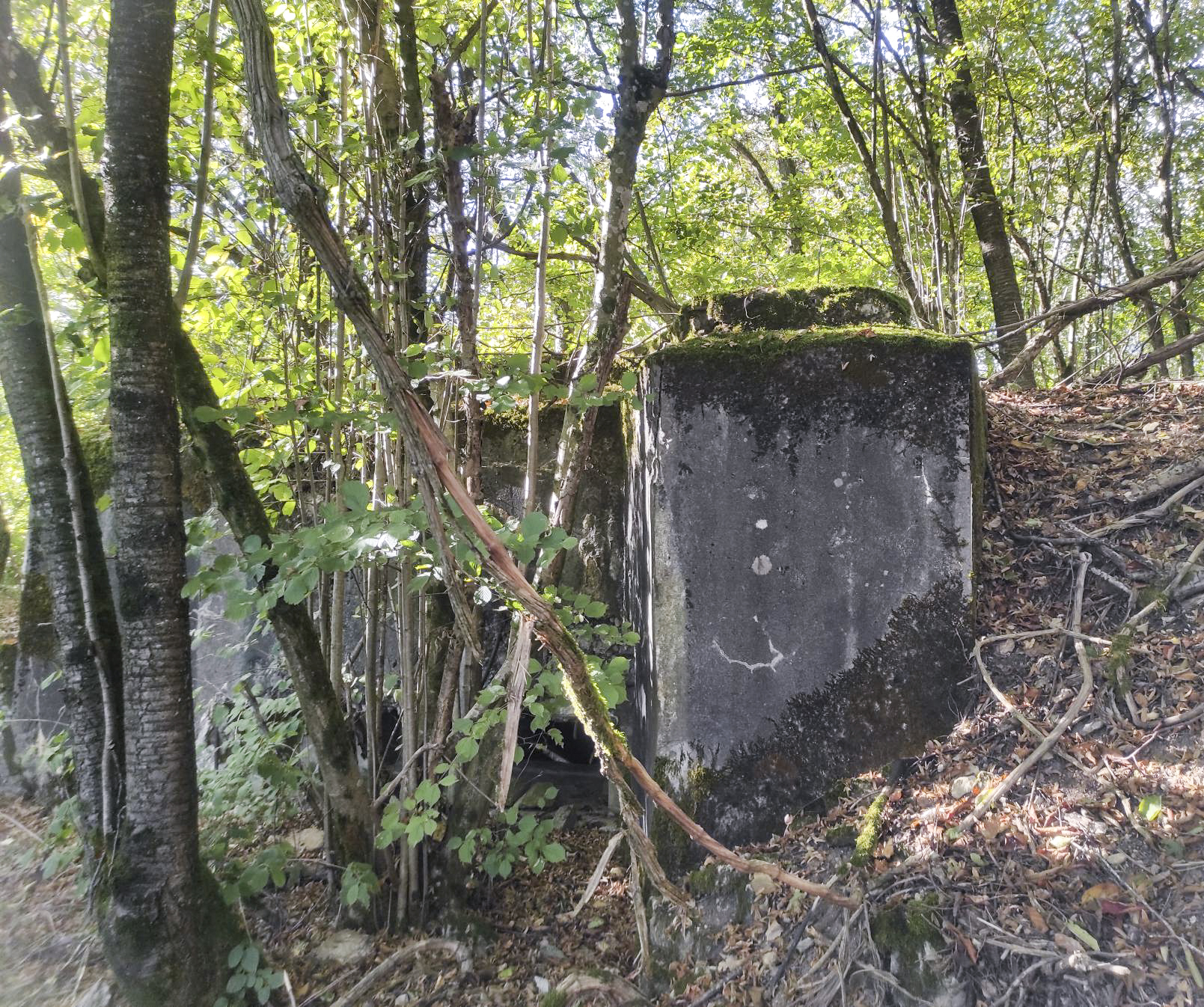 Ligne Maginot - AB313 - ROSSELN 2 - (Blockhaus pour canon) - Partie avant de la casemate et créneau sur la gauche. - BlackMamba73