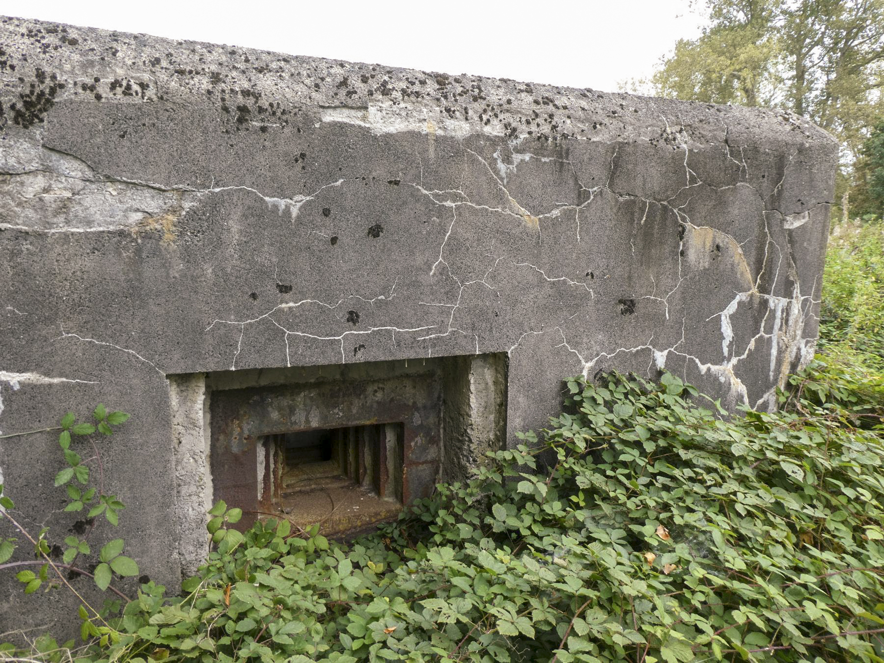 Ligne Maginot - B379 - CARRIERE (PDS) - (Abri actif) -  - ELLENA Daniel - CUNY Philippe